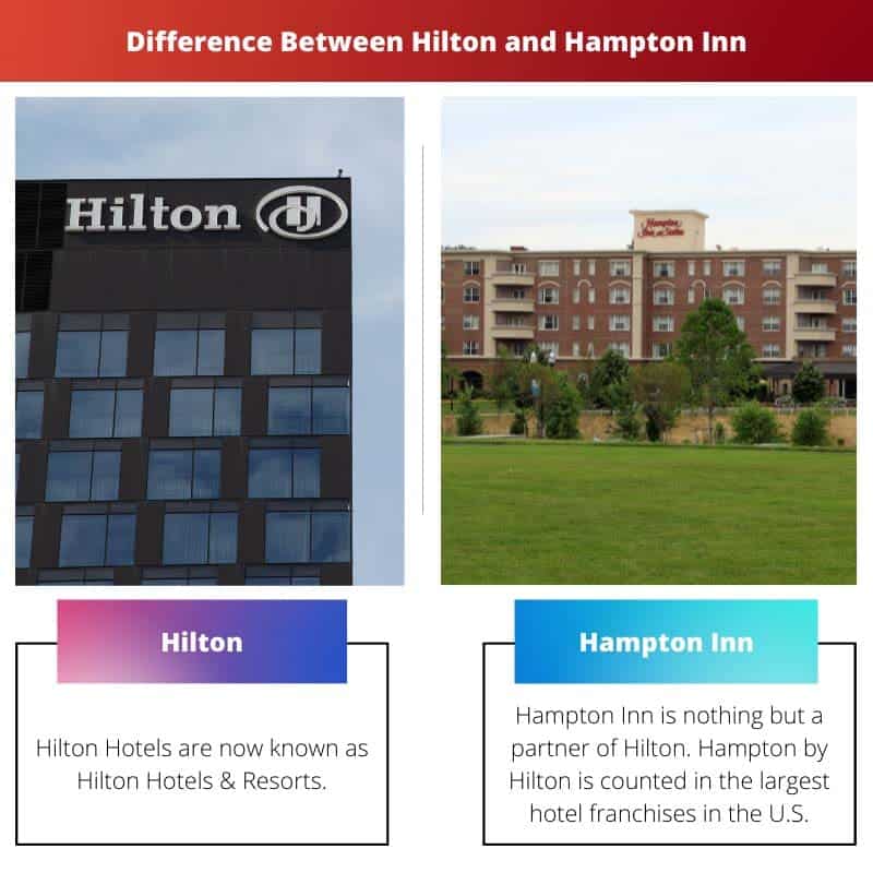 Hilton vs Hampton Inn Difference and Comparison
