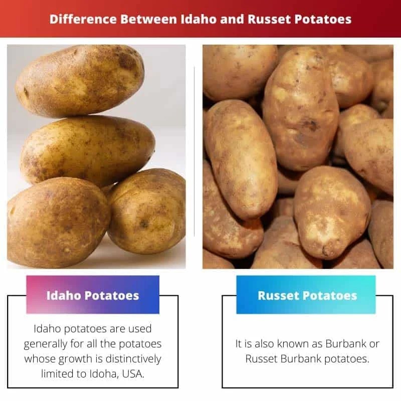 Idaho vs Russet Potatoes Difference and Comparison