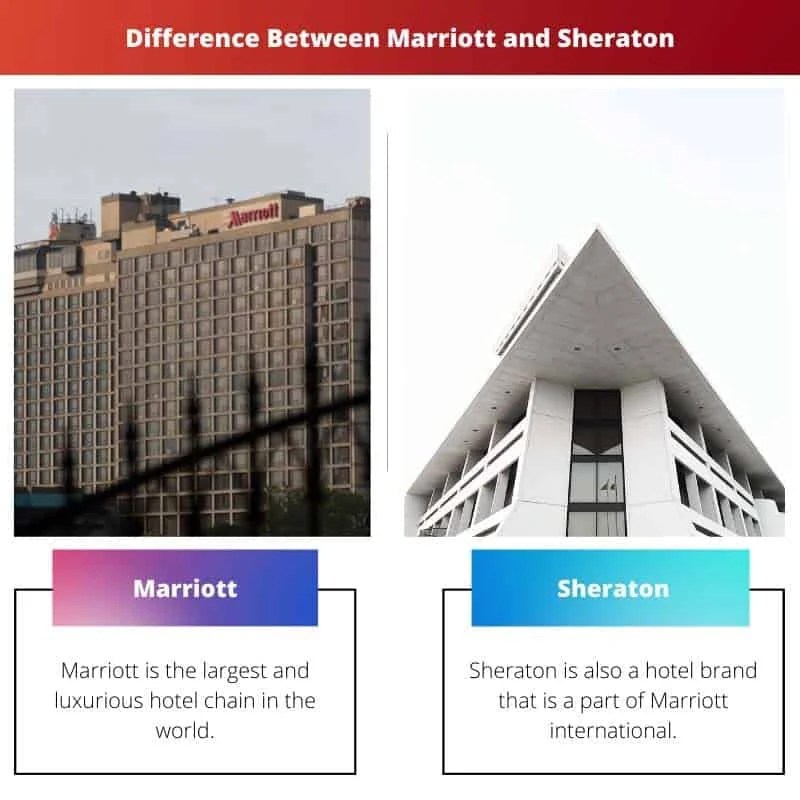Marriott vs Sheraton Difference and Comparison