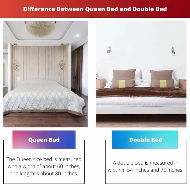 Queen Bed vs Double Bed Difference and Comparison