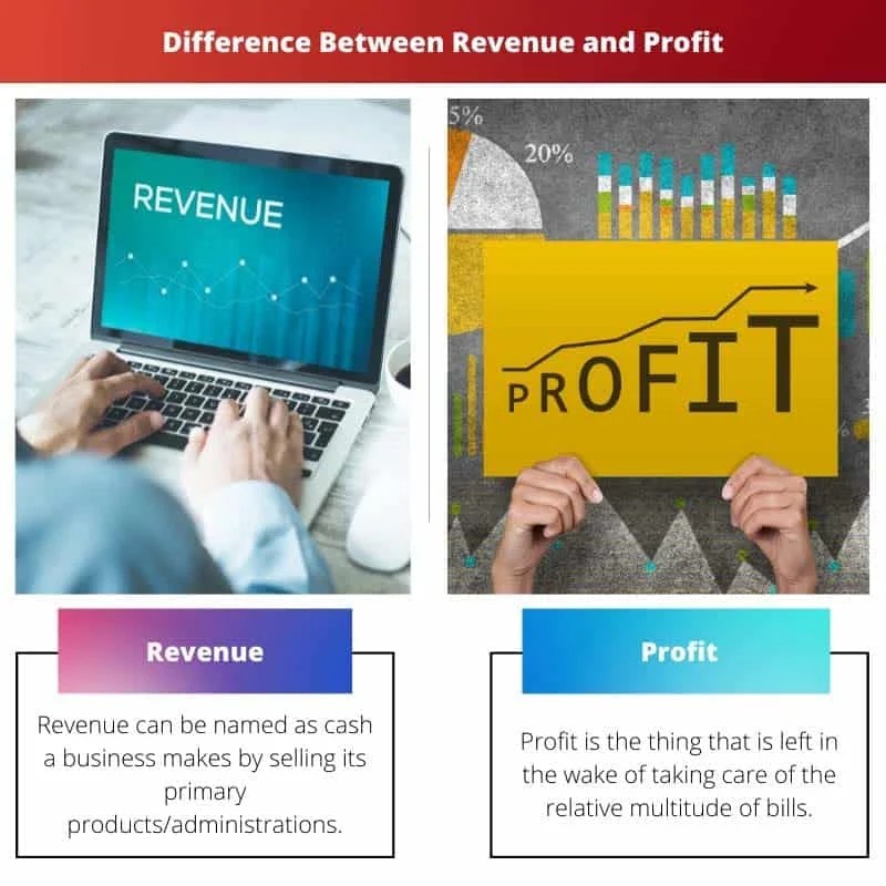 Revenue vs Profit Difference and Comparison