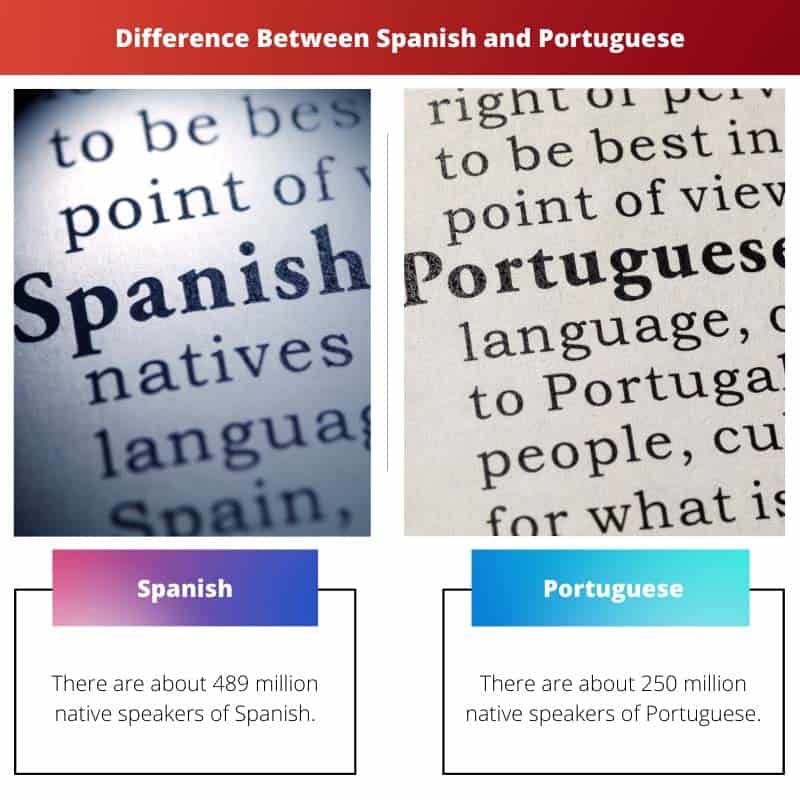 Spanish vs Portuguese Difference and Comparison