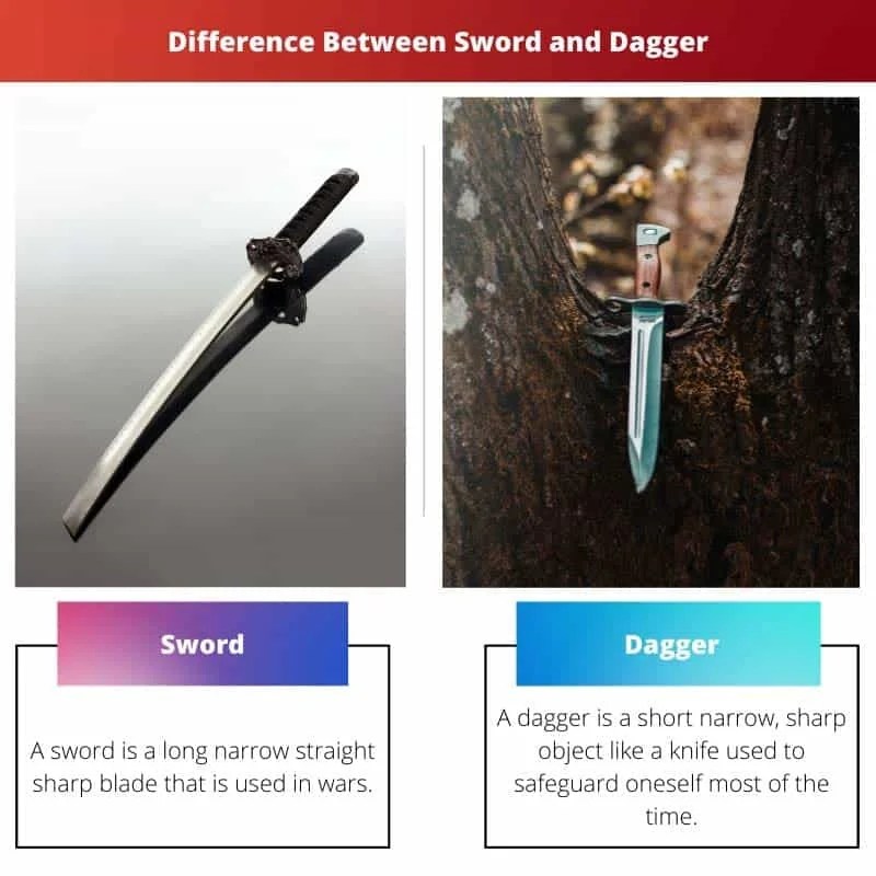 Sword vs Dagger Difference and Comparison