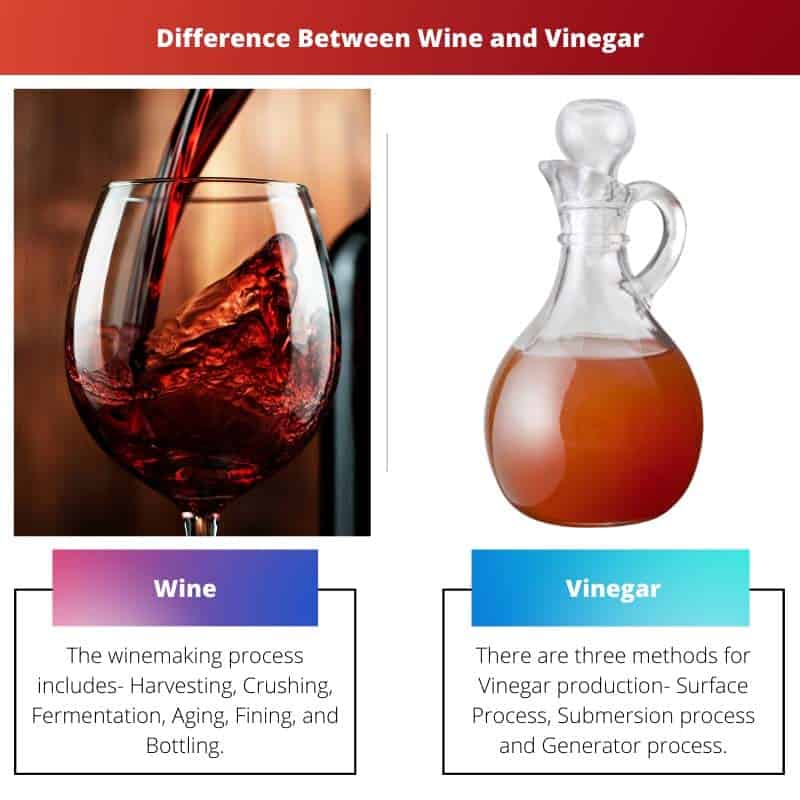 Wine vs Vinegar Difference and Comparison
