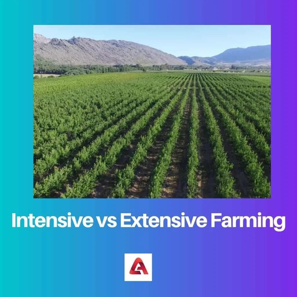 Intensive Farming And Extensive Farming