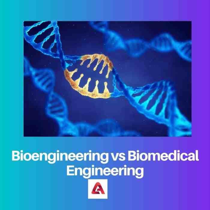 Is biomedical engineering worth it