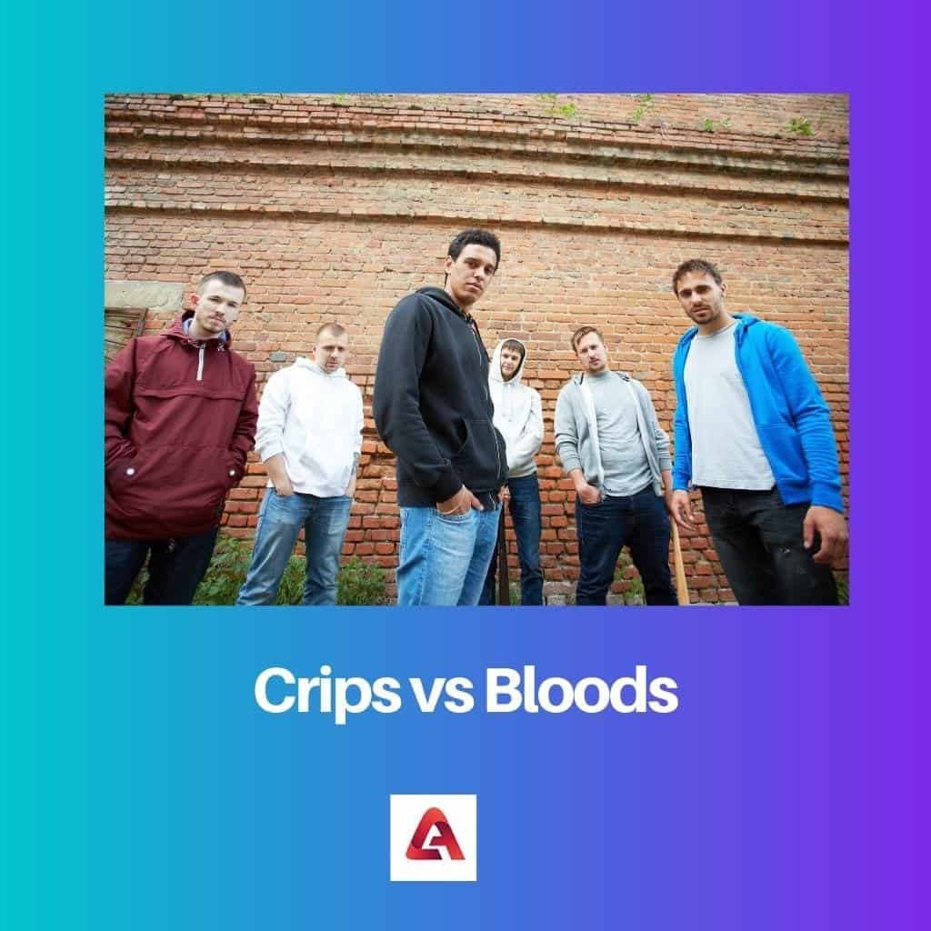 Crips vs Bloods Difference and Comparison