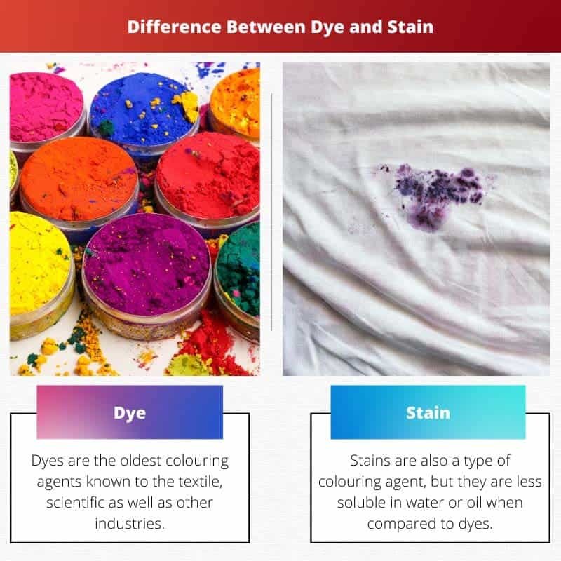 Dye vs Stain Difference and Comparison