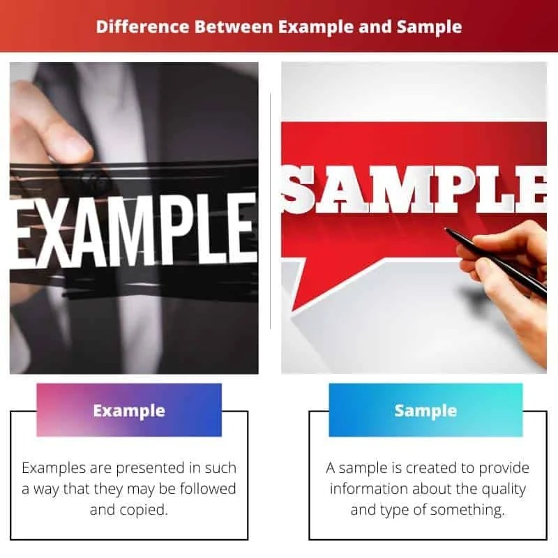 Example vs Sample Difference and Comparison
