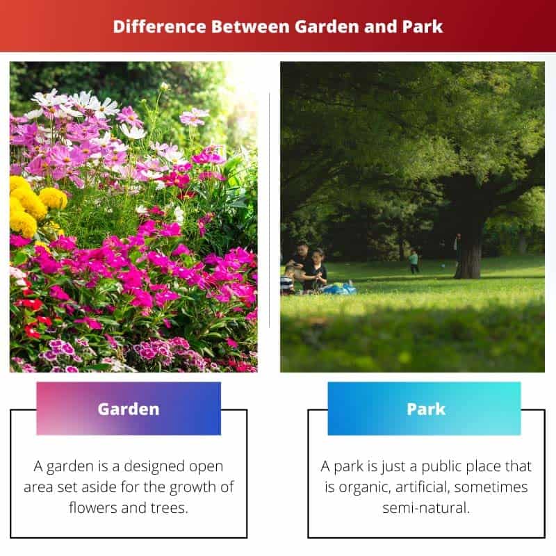 Garden vs Park Difference and Comparison