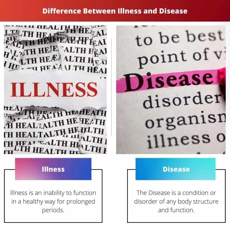 Illness vs Disease Difference and Comparison