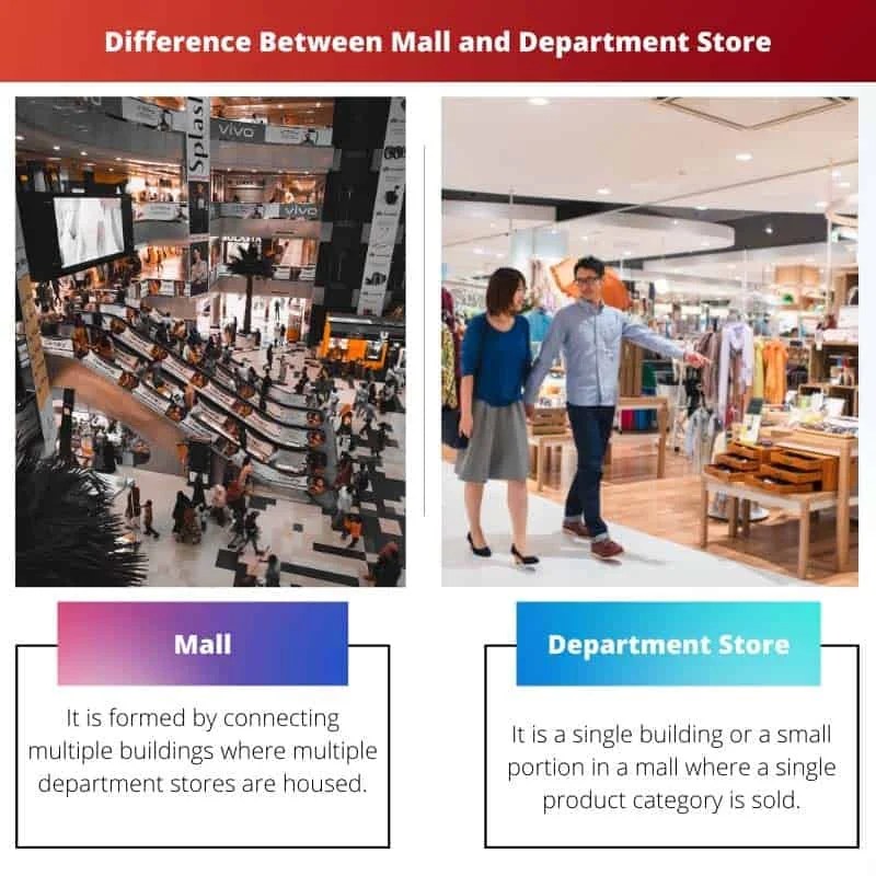 Mall vs Department Store Difference and Comparison