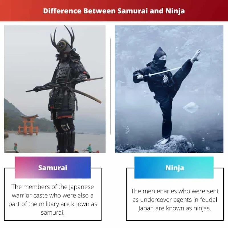Samurai vs Ninja skillnad och jämförelse