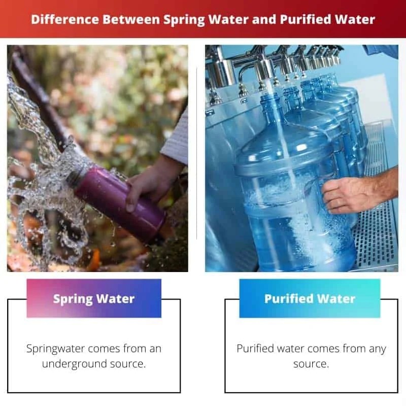 Spring Water vs Purified Water Difference and Comparison