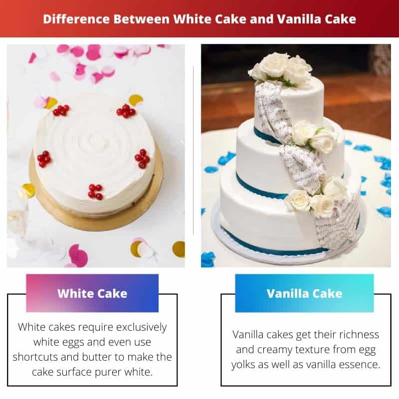 White Cake vs Vanilla Cake Difference and Comparison