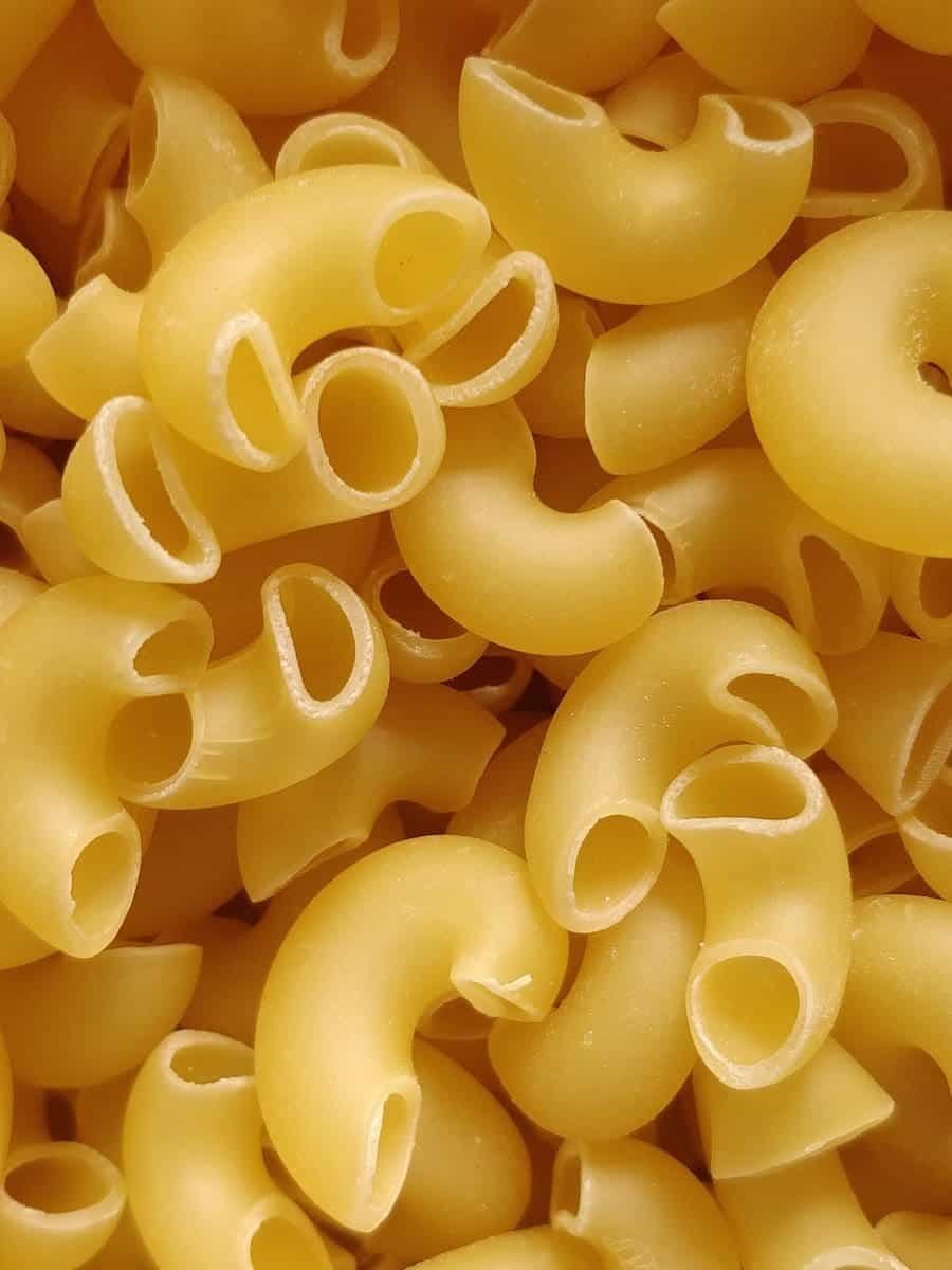 Pasta vs Macaroni Difference and Comparison
