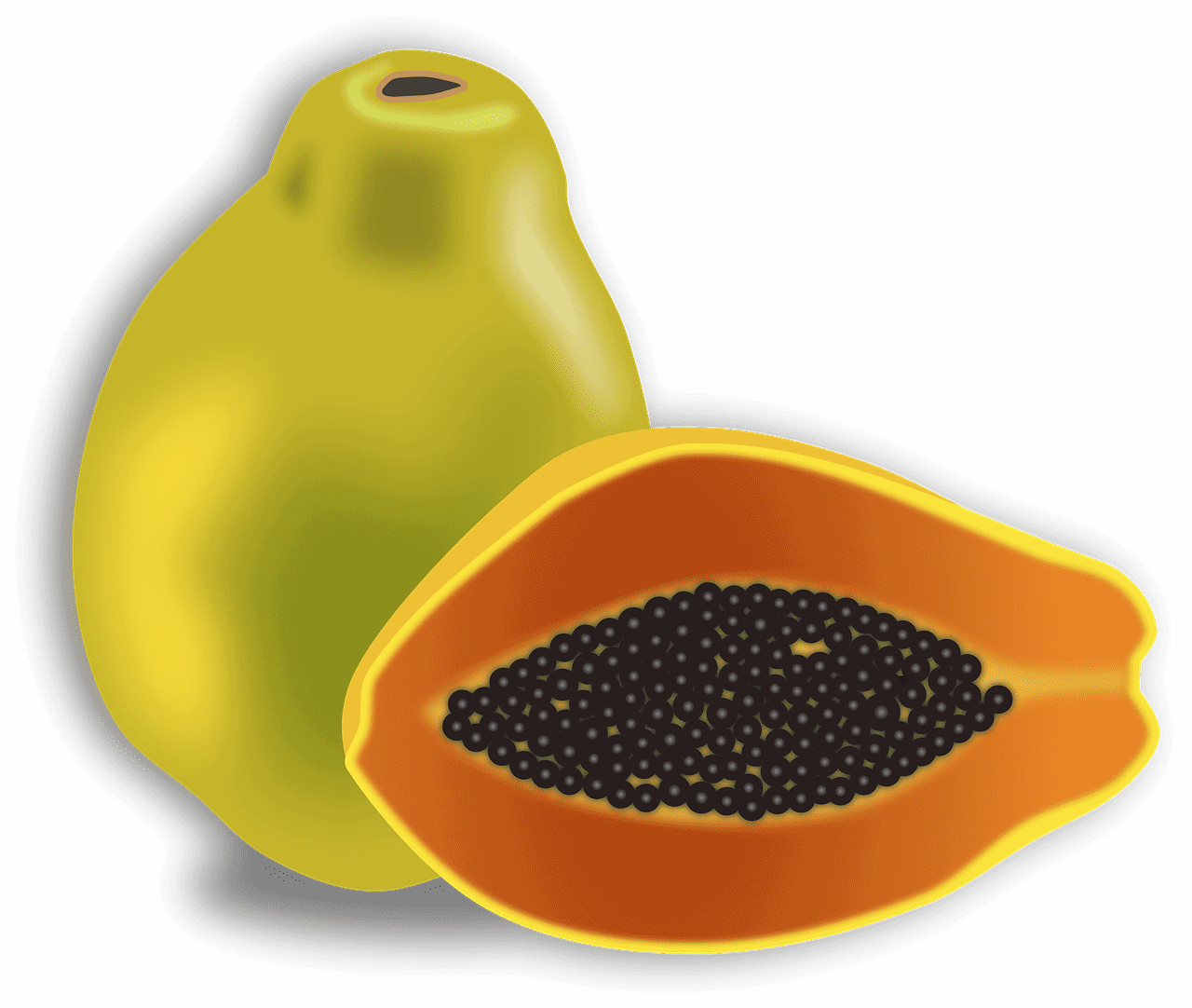 Pawpaw vs Papaya Difference and Comparison