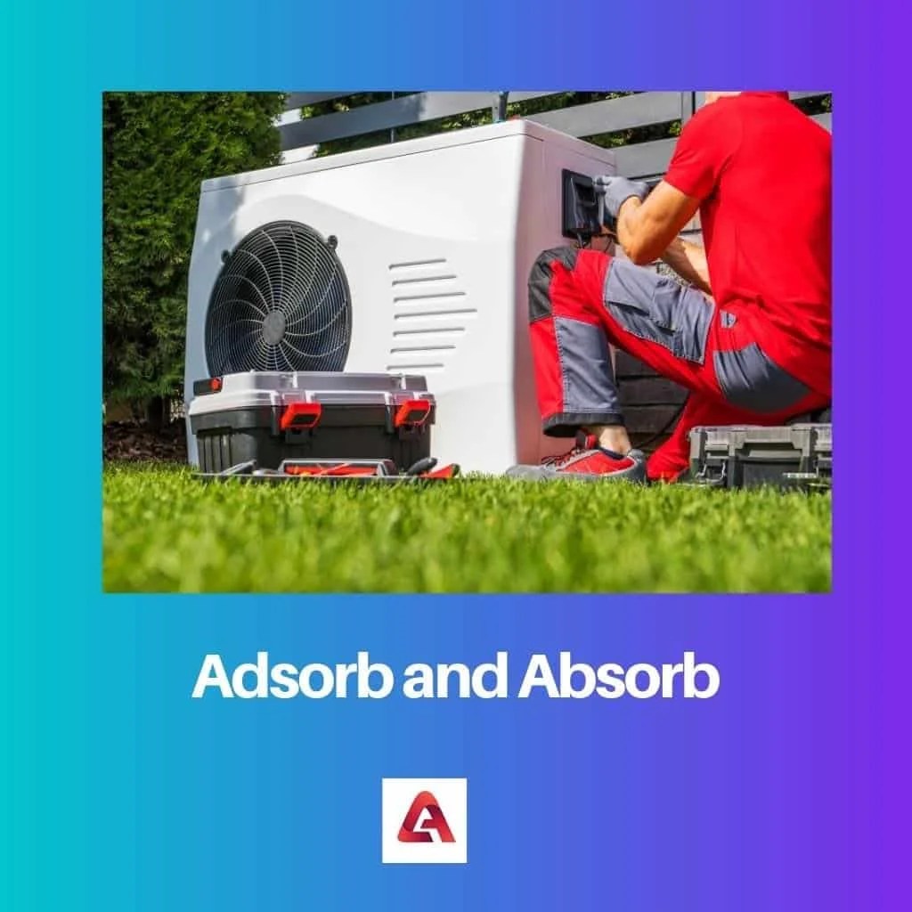 Adsorb vs Absorb Difference and Comparison