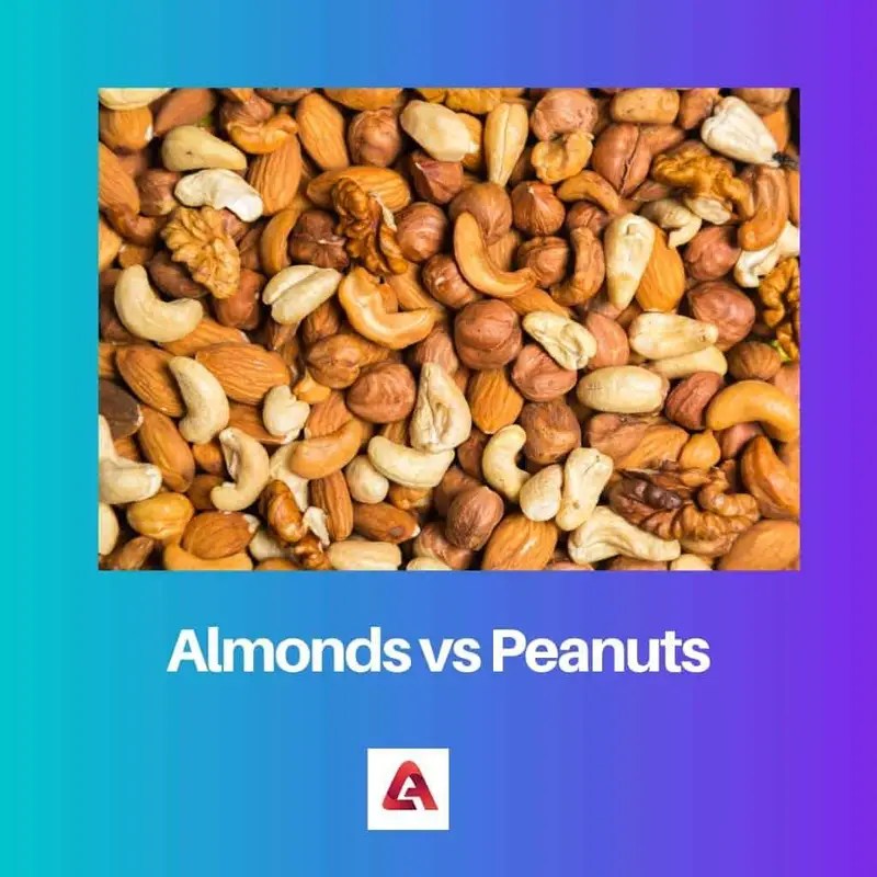 Almonds vs Peanuts Difference and Comparison