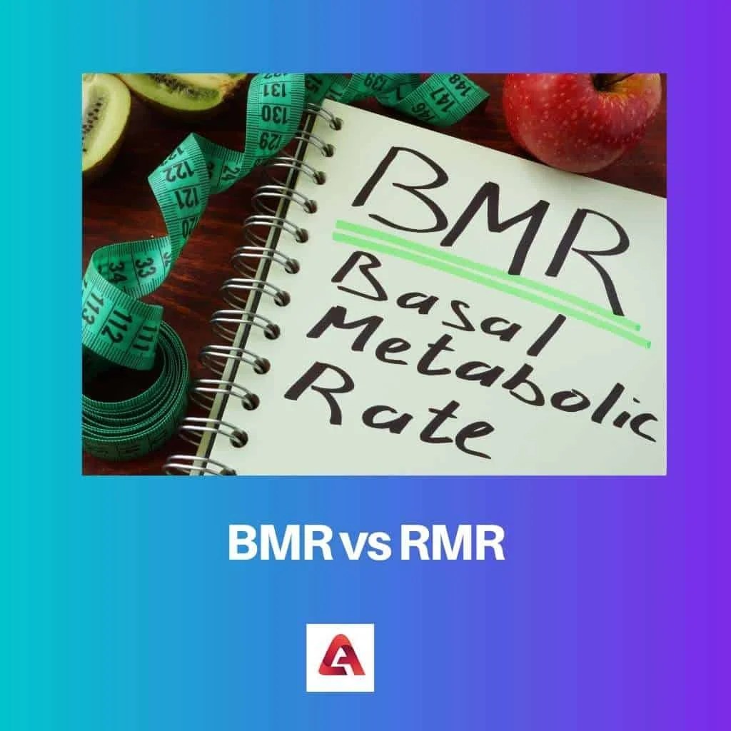 BMR vs RMR Difference and Comparison