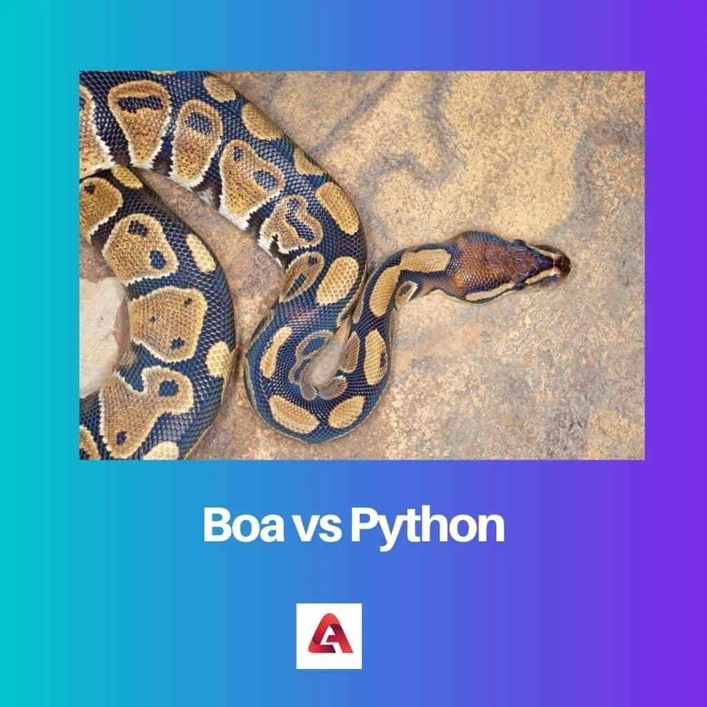 Boa vs Python Difference and Comparison