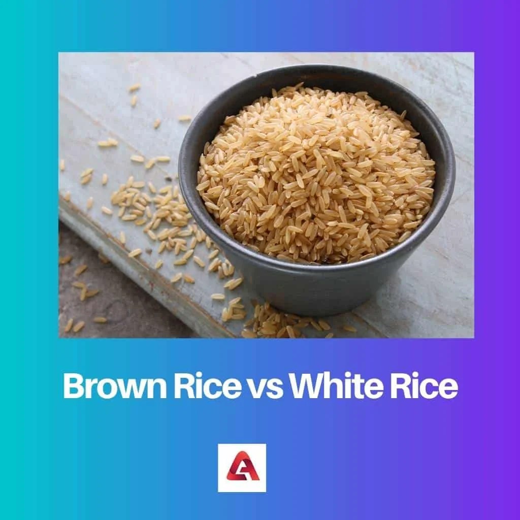 Brown Rice vs White Rice Difference and Comparison