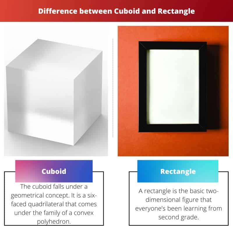 Cuboid vs Rectangle: Difference and Comparison