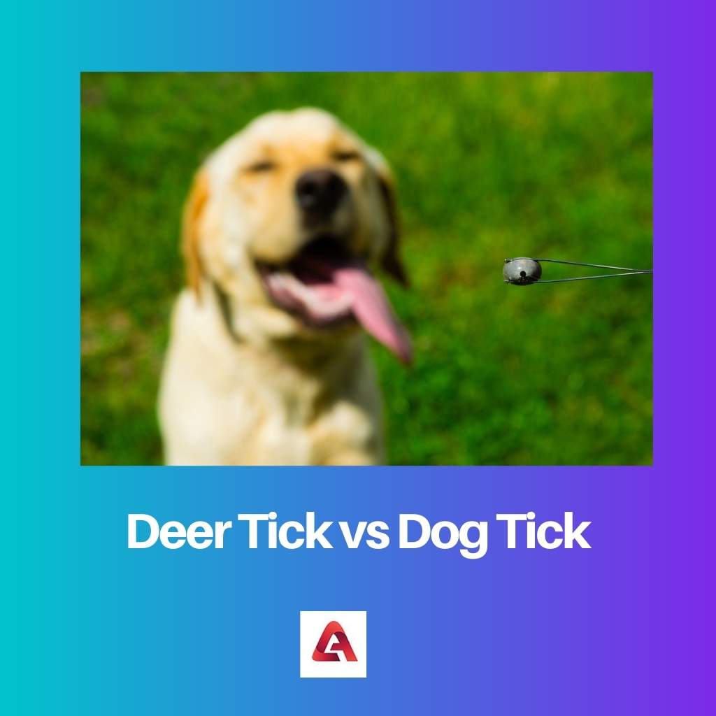 Deer Tick vs Dog Tick Difference and Comparison