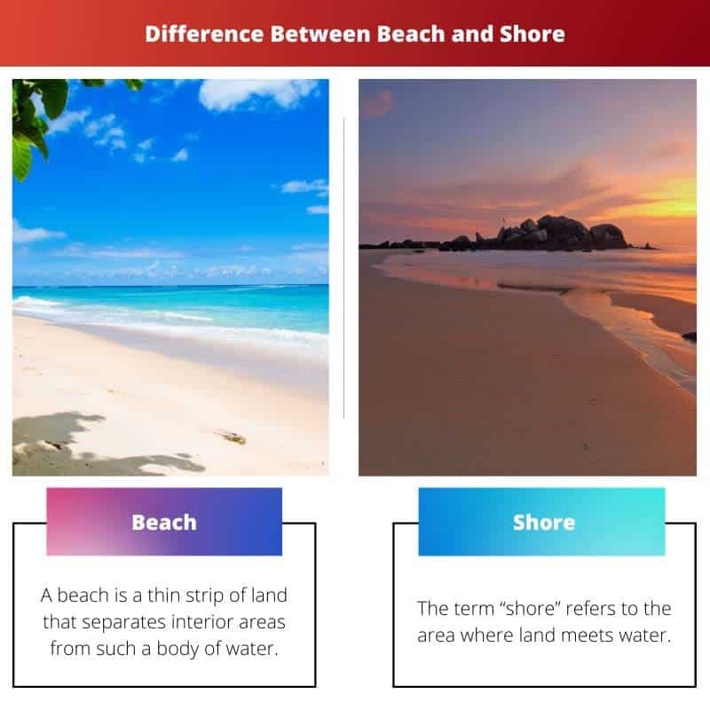 Beach vs Shore Difference and Comparison