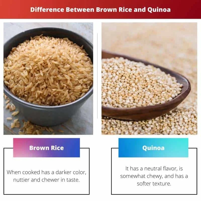 Brown Rice vs Quinoa Difference and Comparison