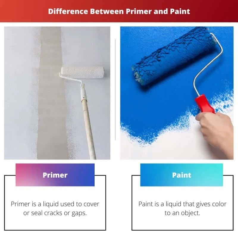 Primer vs Paint Difference and Comparison