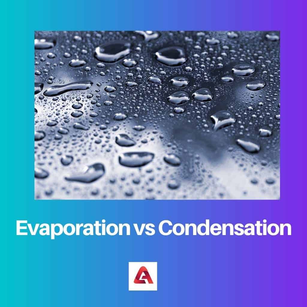 Evaporation vs Condensation Difference and Comparison