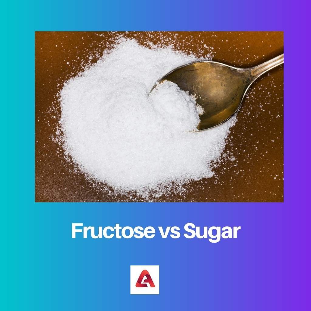 Fructose vs Sugar Difference and Comparison