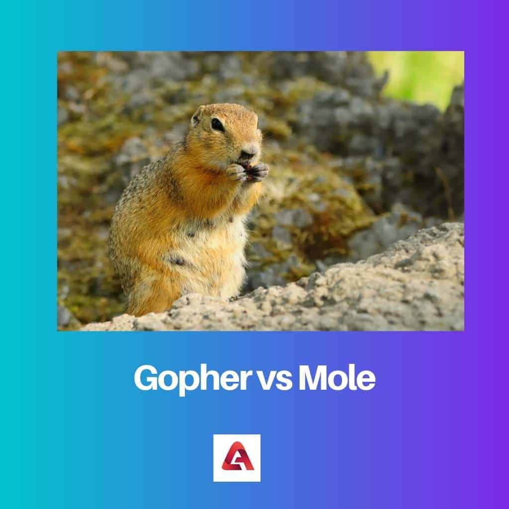 Gopher vs Mole Difference and Comparison