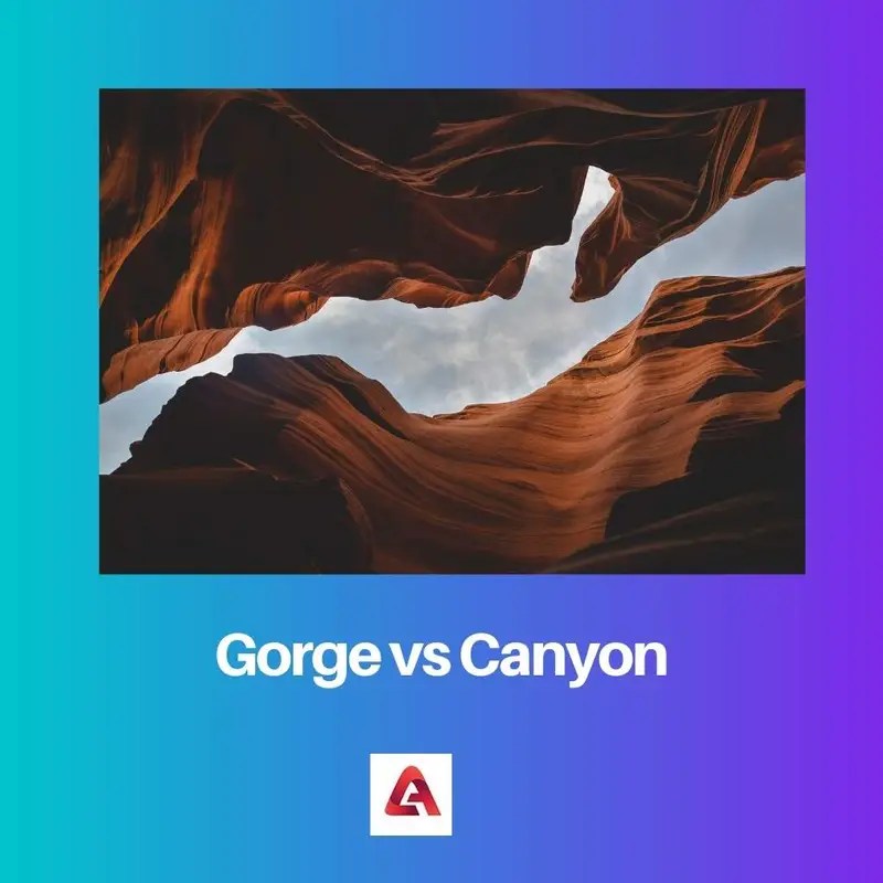 vs Canyon Difference and Comparison