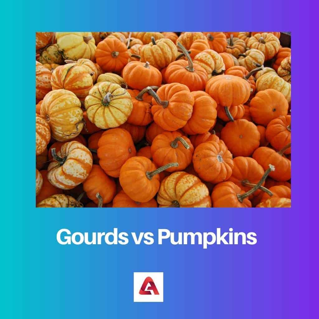 Gourds vs Pumpkins Difference and Comparison