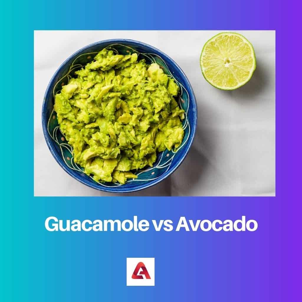 Guacamole vs Avocado Difference and Comparison
