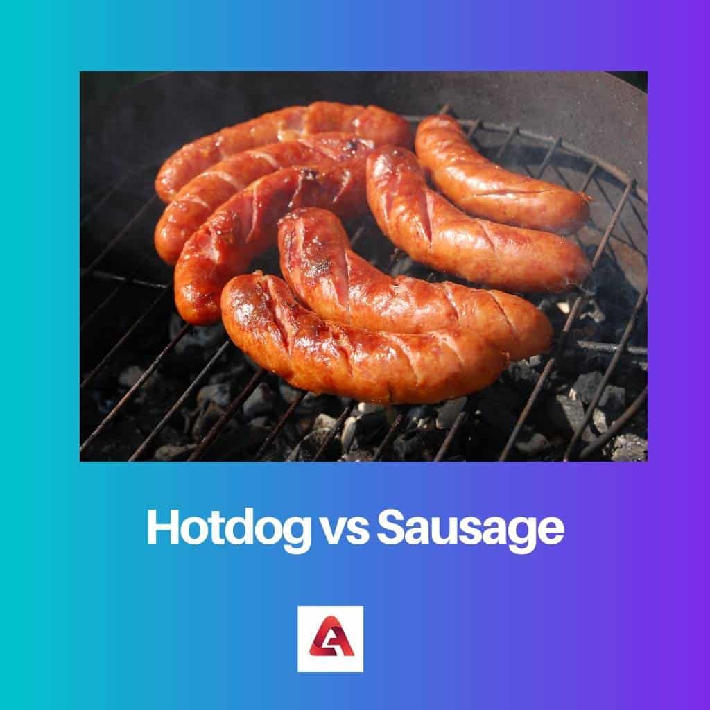 Hotdog vs Sausage Difference and Comparison