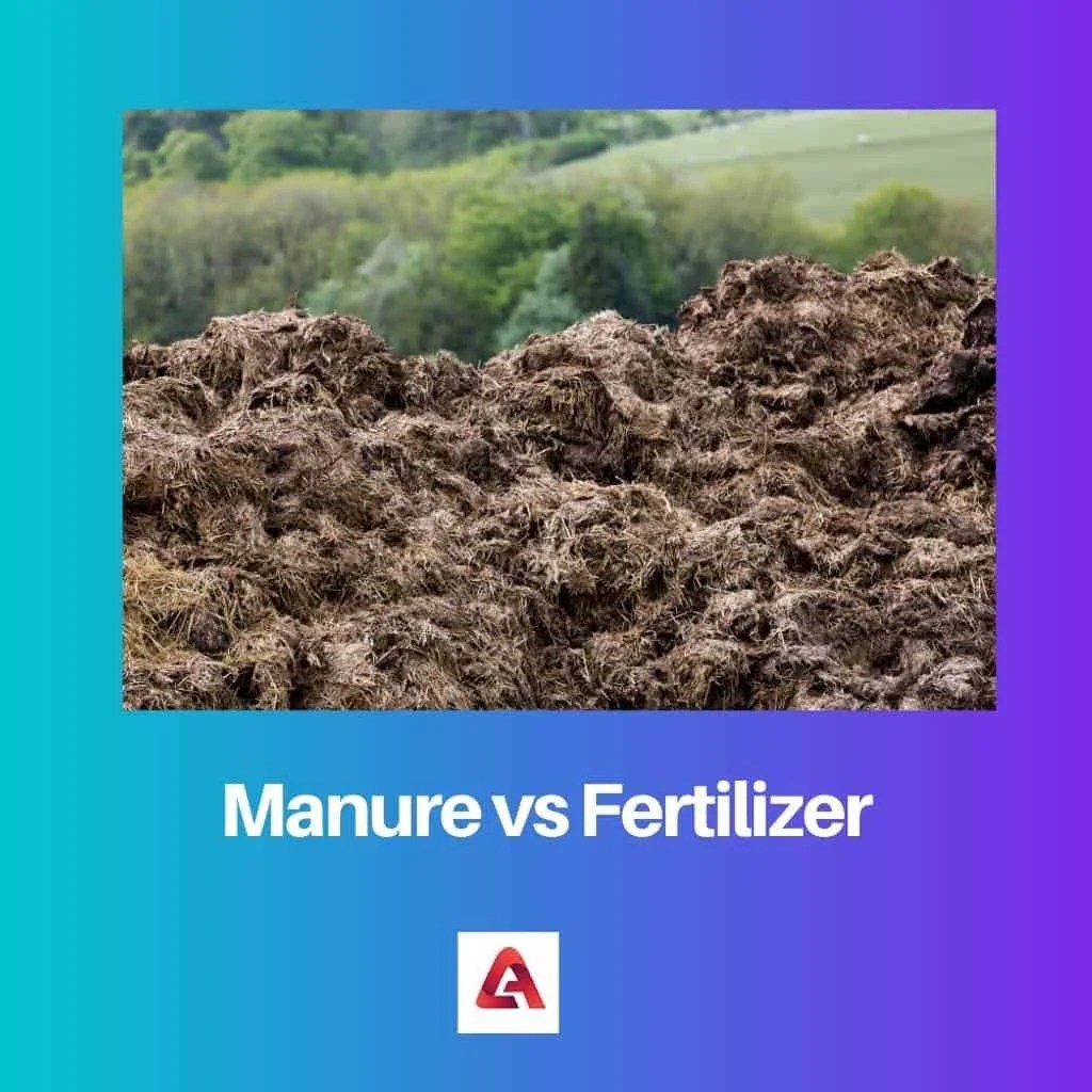 Manure vs Fertilizer Difference and Comparison