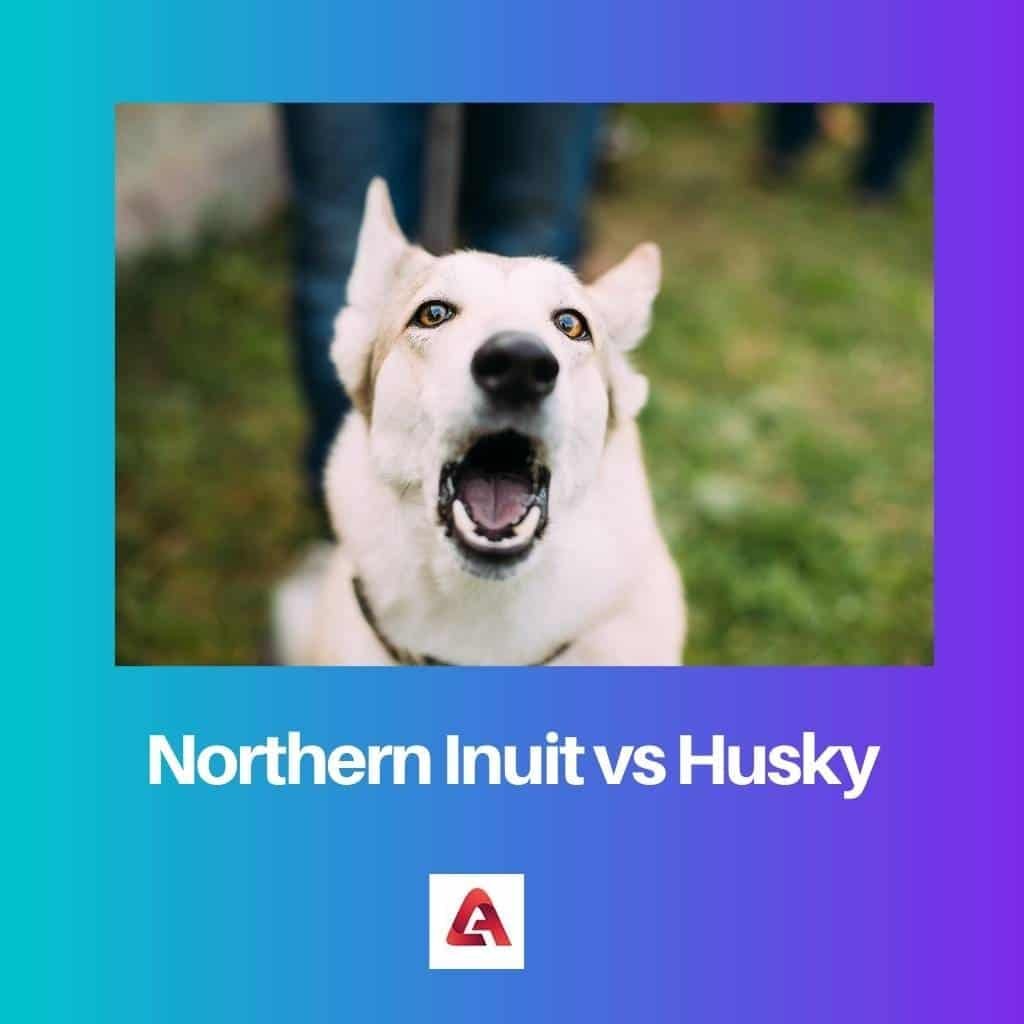Northern Inuit vs Husky Difference and Comparison