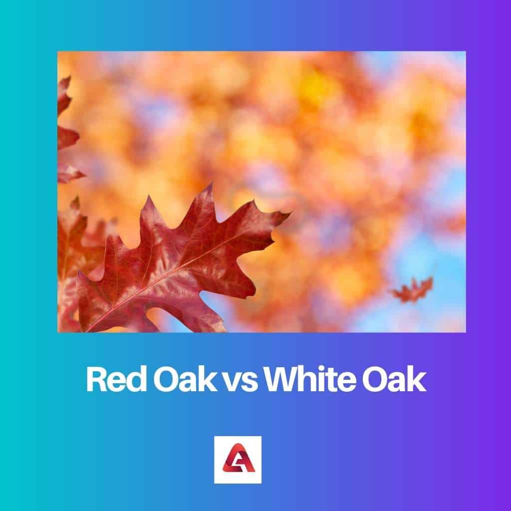 Red Oak vs White Oak Difference and Comparison