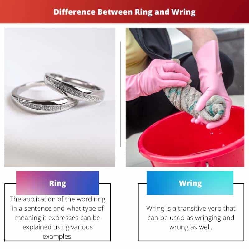 Ring vs Wring Difference and Comparison