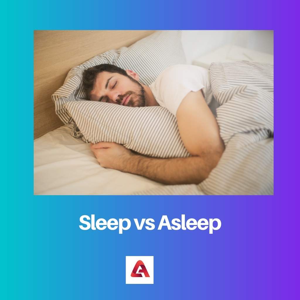Sleep vs Asleep Difference and Comparison