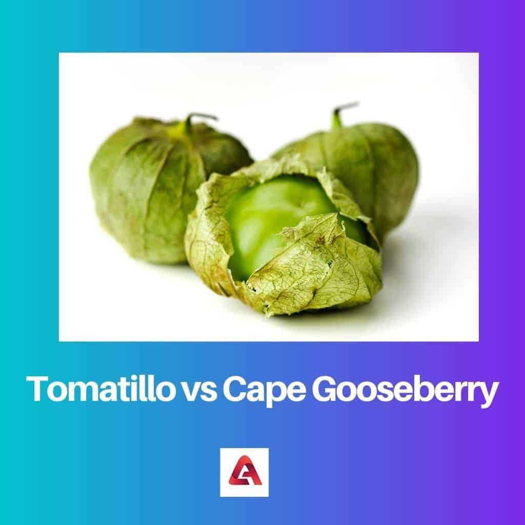 Tomatillo vs Cape Gooseberry Difference and Comparison