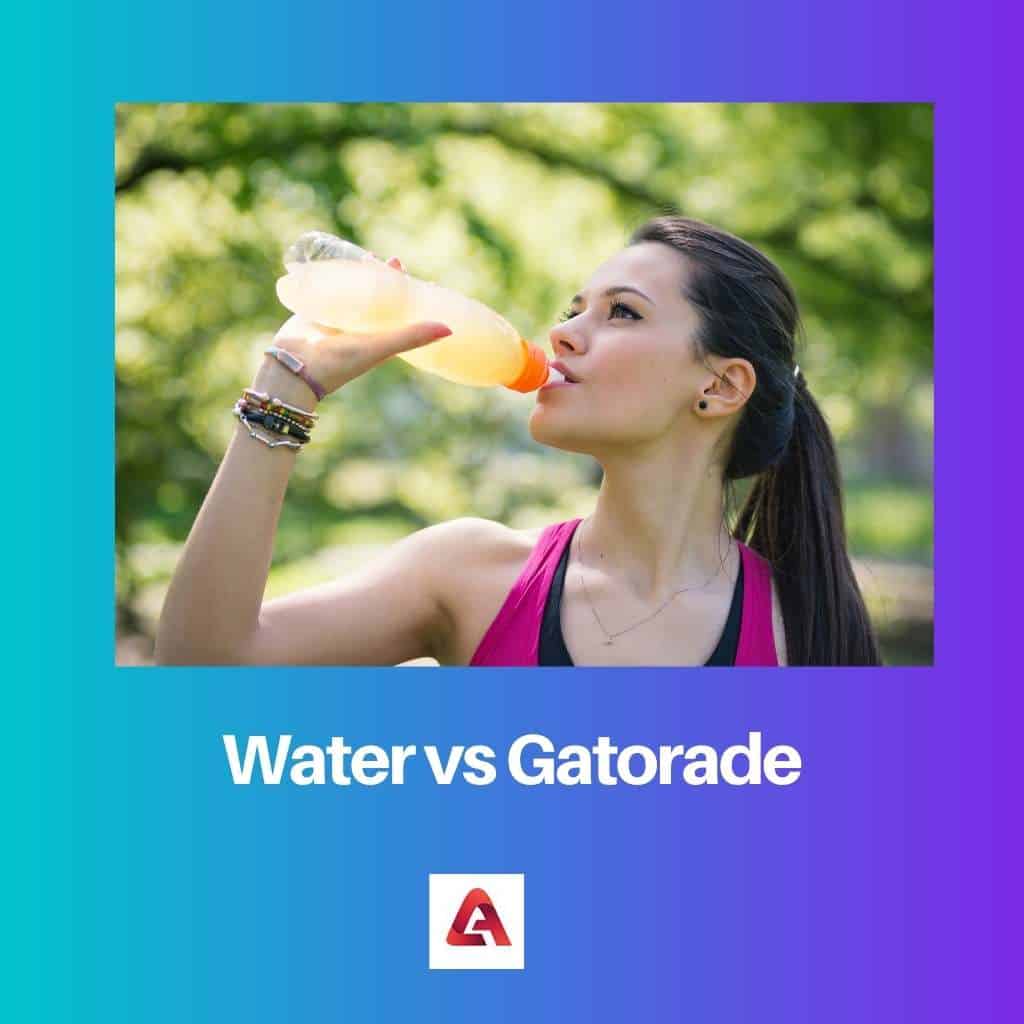 Water vs Gatorade Difference and Comparison