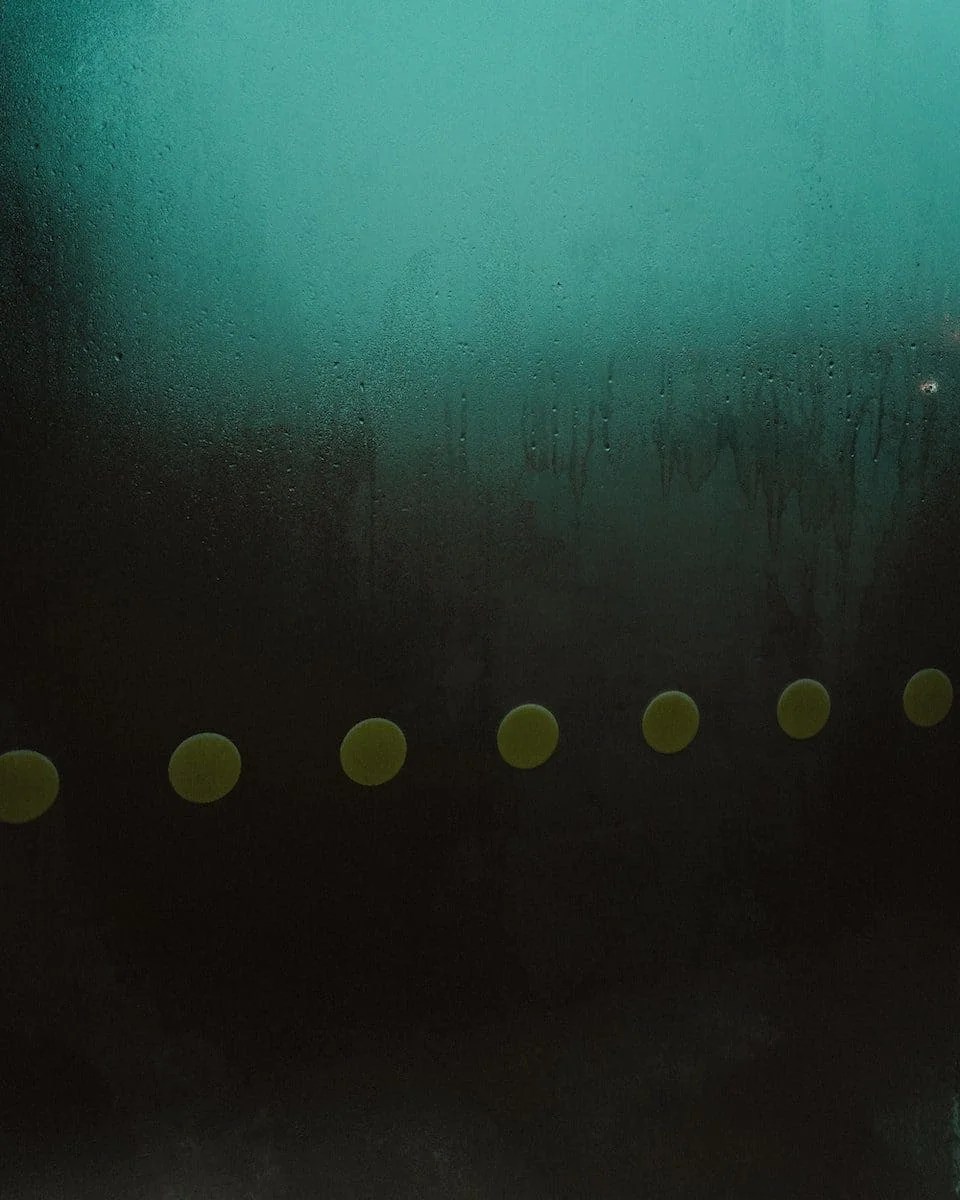 Adsorb vs Absorb Difference and Comparison