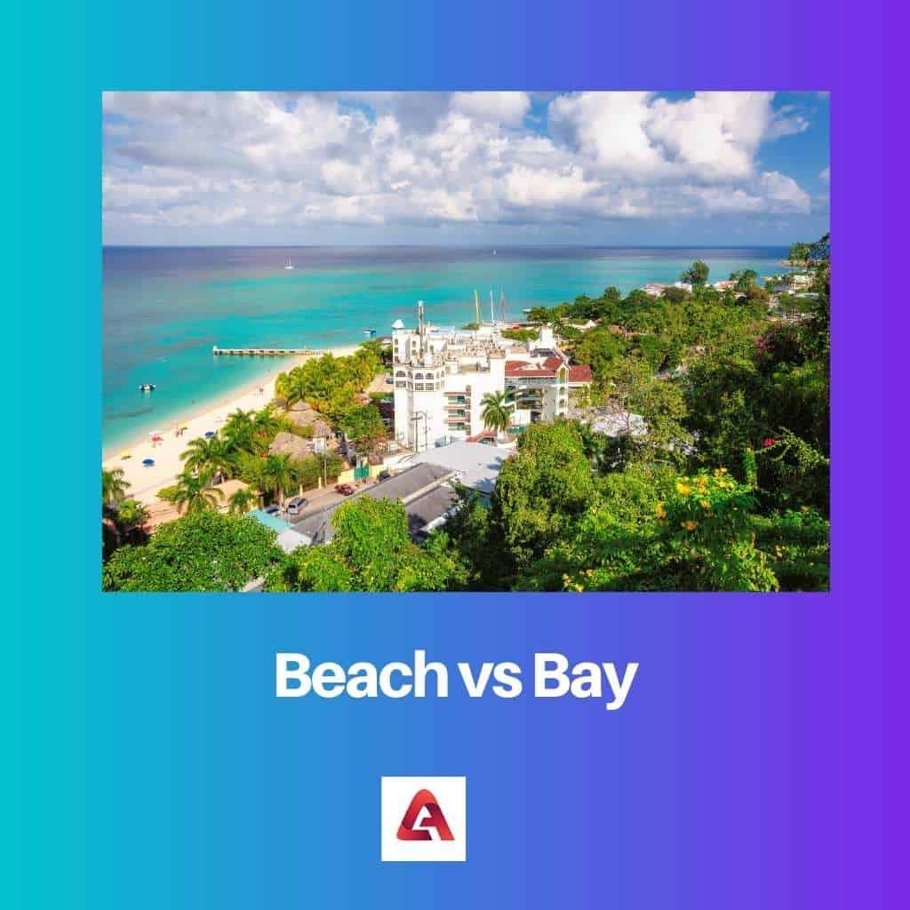Beach vs Bay Difference and Comparison