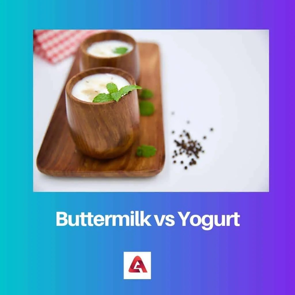 Buttermilk vs Yogurt Difference and Comparison