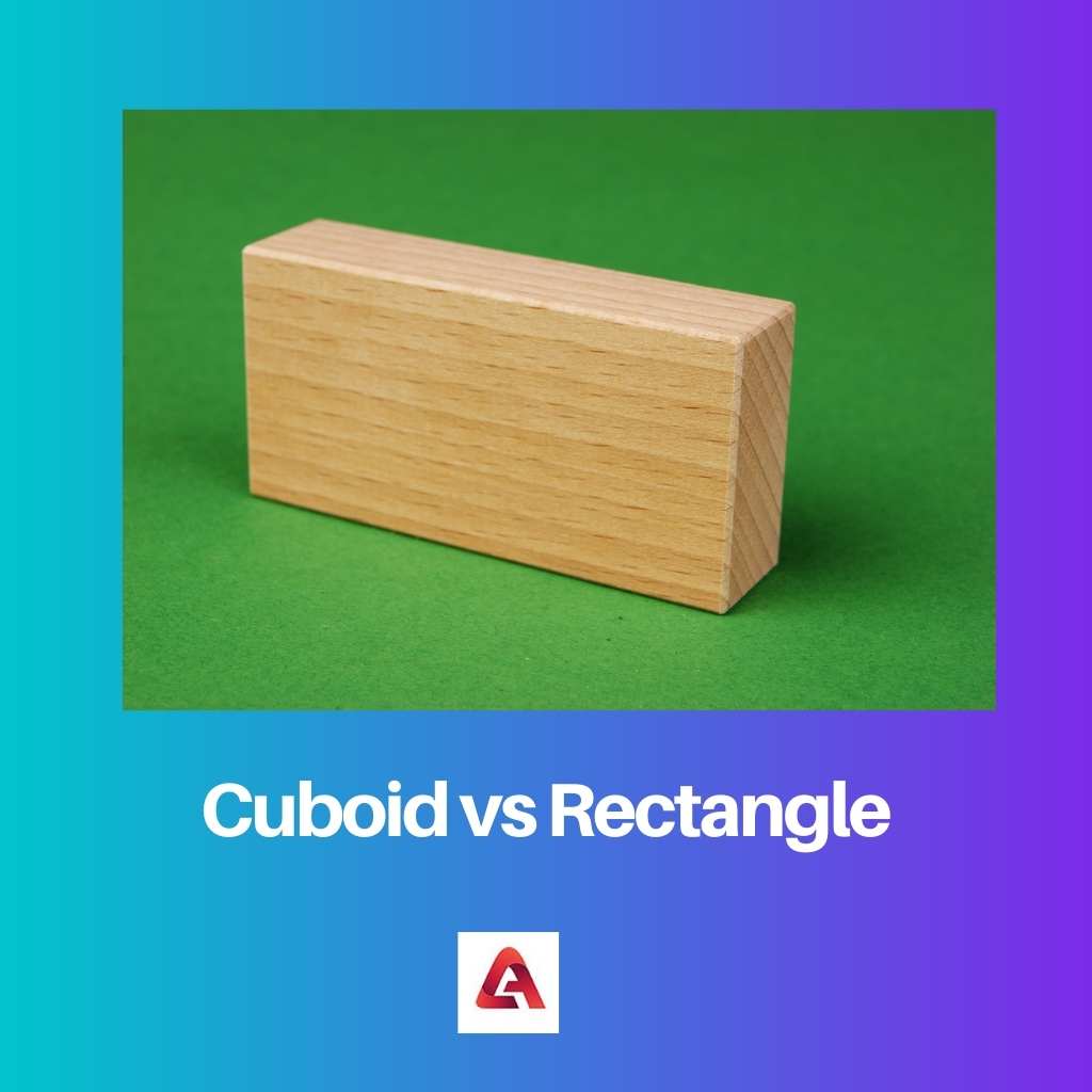 Cuboid vs Rectangle: Difference and Comparison