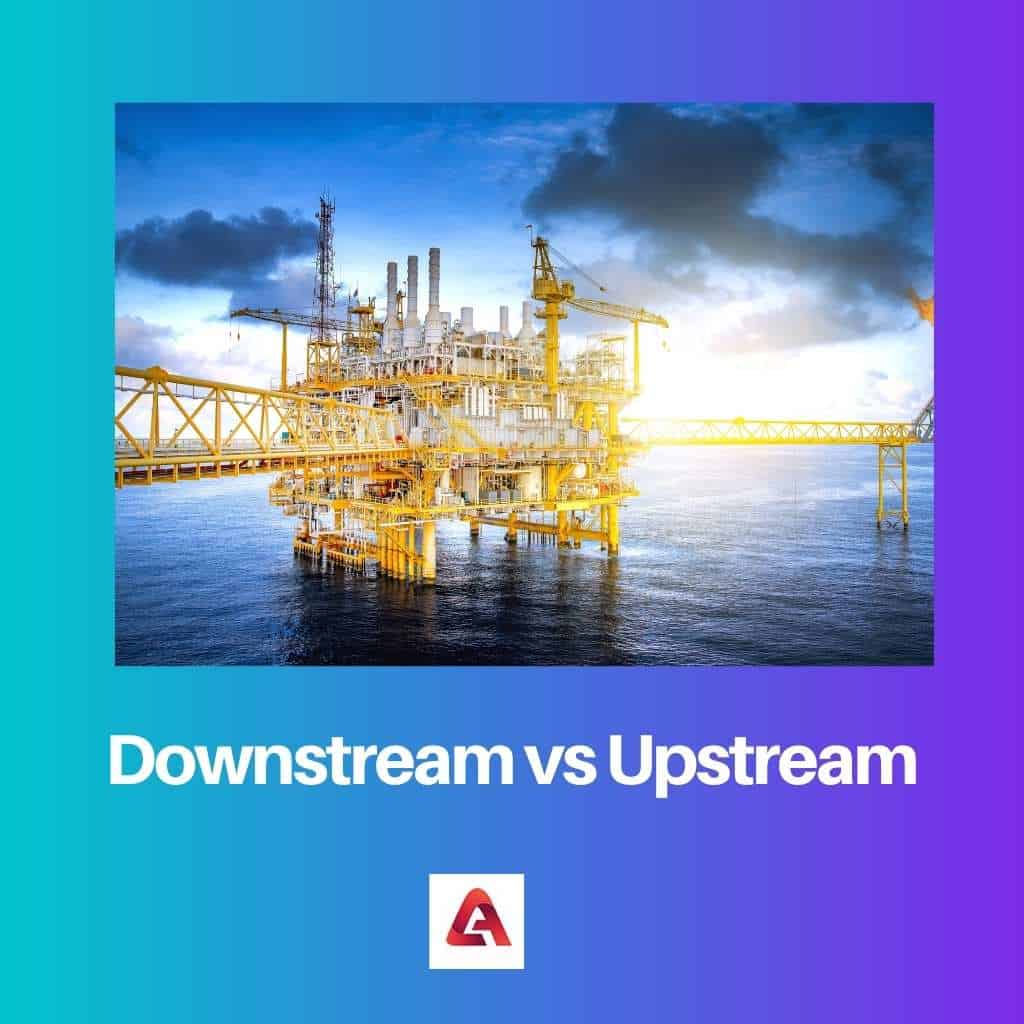 Downstream vs Upstream: Difference and Comparison